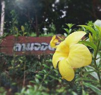 ไอ่ จิ๊จ๊ะ